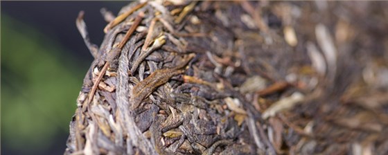 開(kāi)湯品鑒吉祥孔雀