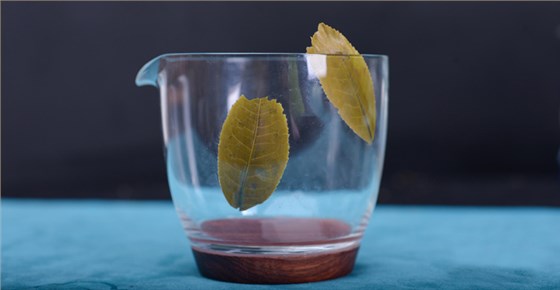 開(kāi)湯品鑒吉祥孔雀