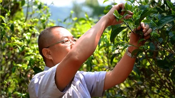 微信圖片_20210125153555