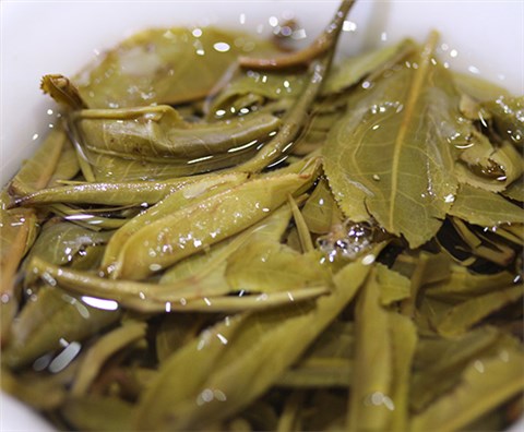 中吉號(hào)古樹(shù)茶 - 中吉莊園班盆2014