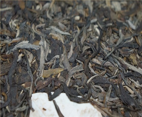 中吉號古樹茶 - 冰島古樹2012 中吉號古樹茶 - 冰島古樹2012