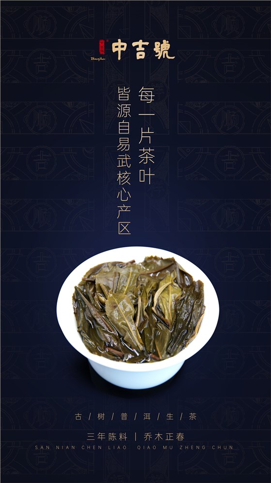 2020易武正山-云南普洱茶，葉底活性十足，葉芽充滿韌性