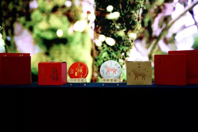 中吉號(hào)經(jīng)銷商大會(huì)