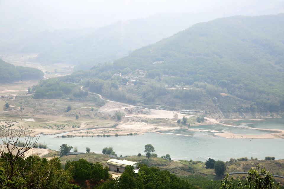 昔歸古樹(shù)茶