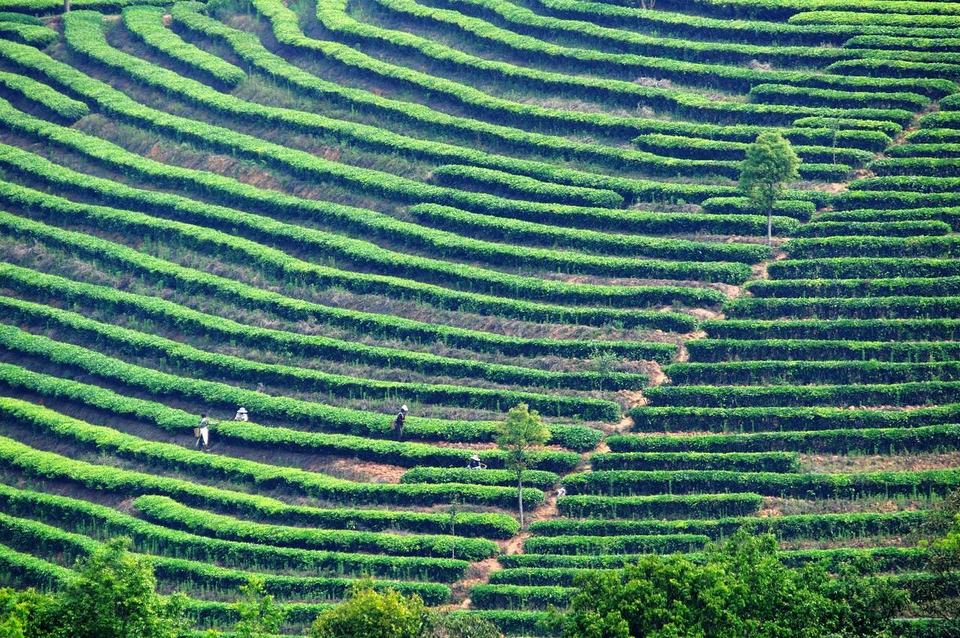 src=http___img1001.pocoimg.cn_image_poco_works_33_2012_0613_09_61613056201206130905244080159753331_003_61613056.jpg&refer=http___img1001.pocoimg