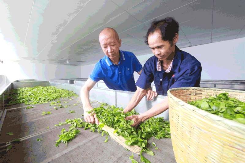 微信圖片_20210413163405