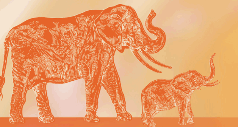 微信截圖_20220509164648