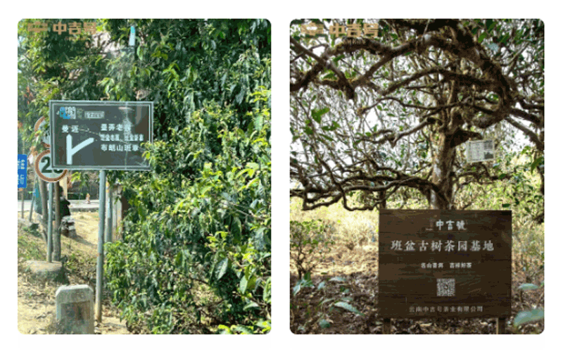 微信截圖_20230418151001