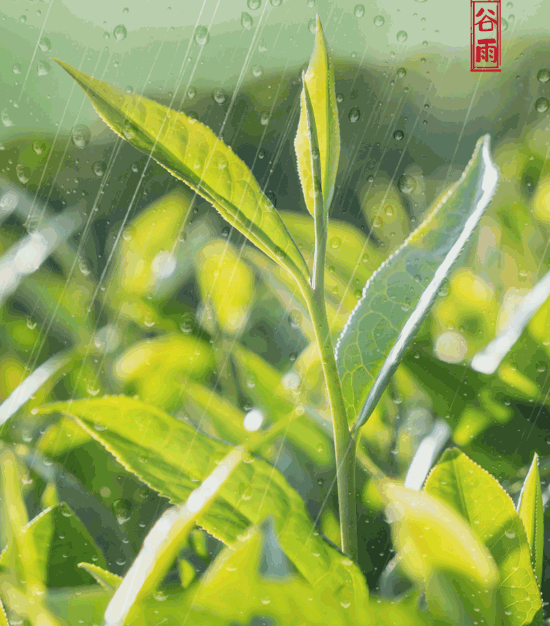 微信截圖_20230420174135