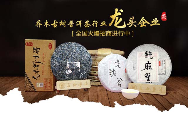 喬木普洱茶招商