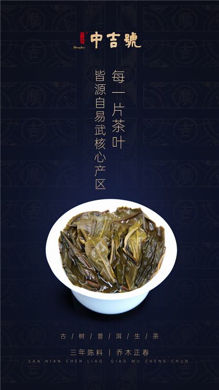 2020易武正山-云南普洱茶，葉底活性十足，葉芽充滿韌性